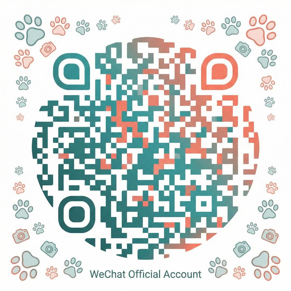 抖阴公众号二维码